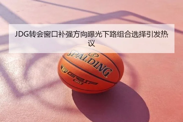JDG转会窗口补强方向曝光下路组合选择引发热议